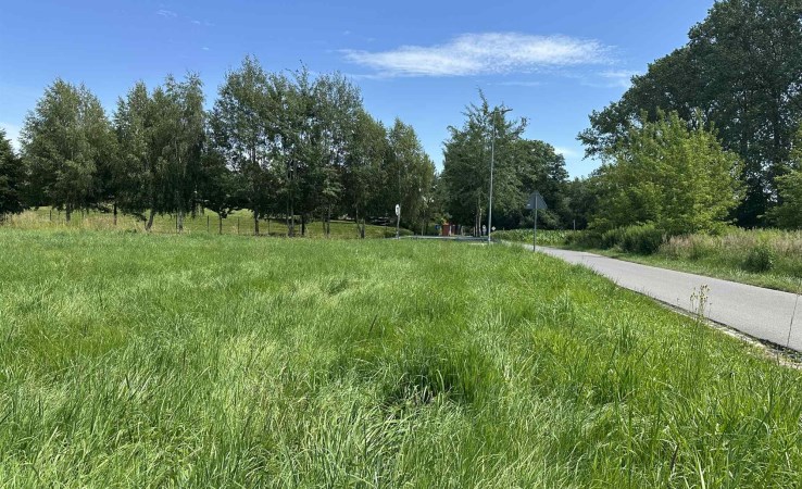 działka na sprzedaż - Jastków, Dąbrowica