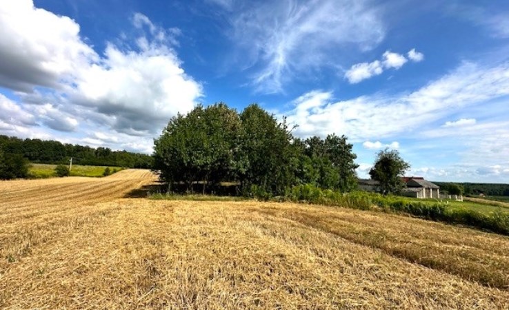 działka na sprzedaż - Kazimierz Dolny (gw), Rzeczyca-Kolonia