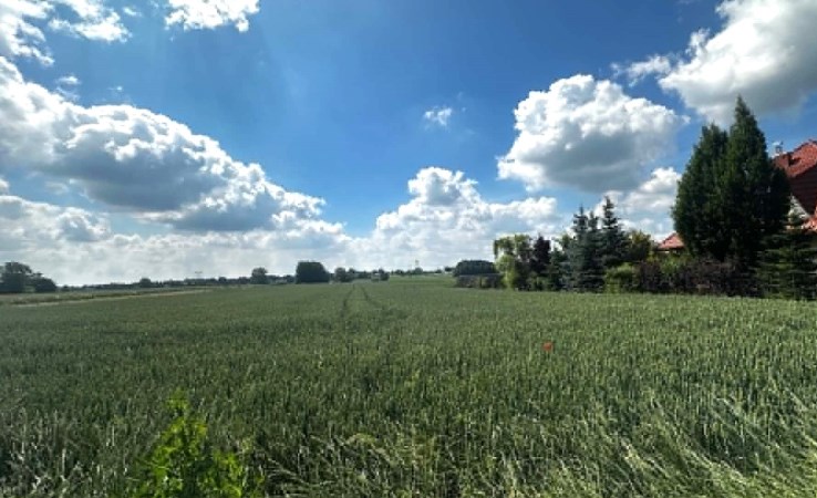 działka na sprzedaż - Niemce, Majdan Krasieniński
